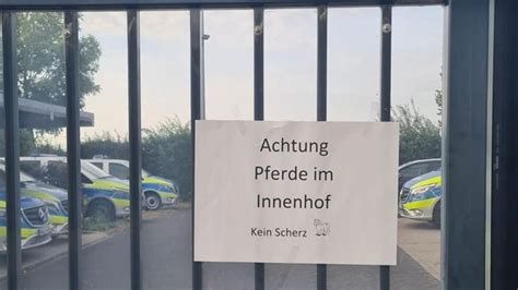 Aachen: Zwei Pferde galoppieren über die A44 .